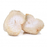 L&otilde;vihabeme seen Hericium erinaceus