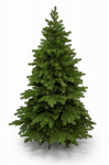 Kunstlik j&otilde;ulupuu Tatra Fir 100% PE, 200 cm