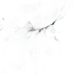 Homla Pleed Luminoso 709036, 150x200 cm