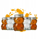 5x Klaasist "karu" purk 30ml kaanega mee, moosi jaoks