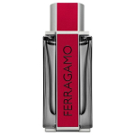 Parf&uuml;&uuml;m meestele Ferragamo Red Leather EDP meestele, 50 ml