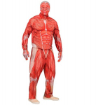 "ANATOMY FAST SUIT" (jope, p&uuml;ksid, kindad, mask)