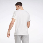 Reebok T-s&auml;rgid Meestele Identity Small Logo Tee White 100054977 100054977/XL