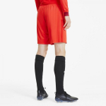Puma L&uuml;hikesed P&uuml;ksid TeamGoal 23 Knit Shorts Red 704262 01 704262 01/L