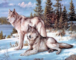 Teemantmosaiik 30x40 cm - Wolves Winter