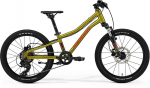 Laste jalgratas Merida Matts J.20 I3 20" roheline