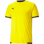 Puma teamLIGA meeste s&auml;rk, kollane 704917 07