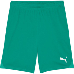 Puma Team Goal meeste rohelised p&uuml;ksid 705752 05, L