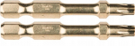 Makita Impact Gold Torx 25x50mm otsik (2 tk.)