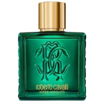 Parf&uuml;&uuml;mvesi Roberto Cavalli Uomo Verde Assoluto idamaine puidune 100 ml meestele