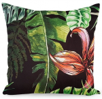 Dekoratiivne padjakate