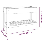 vidaXL aia taimelava riiuliga, hall, 120x50x75 cm, WPC, Hall