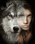 Maalimine numbrite j&auml;rgi - maalimise komplekt 40x50 cm. "Wolf's look"