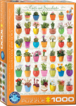 Pusle Eurographics, 6000-0654, Cacti & Succulents, 1000 tk