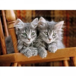 Pusle Clementoni High Quality Collection Kittens (Kassipojad), 30545, 500- osaline