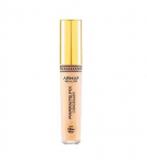 Armaf Beaut&eacute; Parfaite Fix Concealer 5,8g 01 Fair