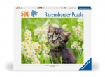 Ravensburger pusle 500 tk: kass aias