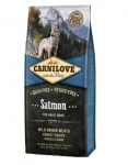 Carnilove Salmon for Adult koeratoit 12 kg