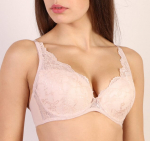 Orhideja rinnahoidja vormivate korvidega