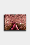 Reproduktsioon Sakura