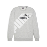 Meeste vabaaja kampsun PUMA POWER Graphic Crew TR - 67896104, hall