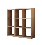 Raamaturiiul Furniture Cleo VI, pruun