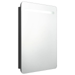 vidaXL LED vannitoa peegelkapp, must, 60x11x80 cm