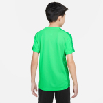 Nike T-s&auml;rgid Teismelistele Y Nk Df Acd23 Top Ss Green DR1343 329