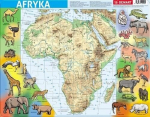 Raamim&otilde;istatused - F&uuml;&uuml;siline Aafrika - Kollektiivsed t&ouml;&ouml;d