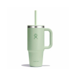 Hydro Flask keskmine termojoogikruus k&otilde;rrega Aloe 709 ml