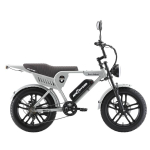Elektrijalgratas Ape Ryder 20", hall