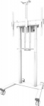 NEOMOUNTS BY NEWSTAR MOTORISED MOBILE FLOOR STAND - VESA 100X100 UP TO 800X600 WHITE