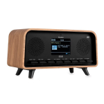 Desio DAB raadio hele puit