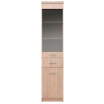 Vitrina Top Mix 1D1W1S, sonoma tamm