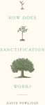 How Does Sanctification Work?