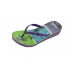 Naiste pl&auml;tud DIADORA AQUARIUS W, lilla/sinine/roheline