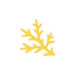 Dekoratiivne augustaja, M&auml;nnioks, 25 mm