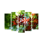 Viieosaline reproduktsioon Lehed