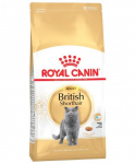 Royal Canin British shorthair, 2 kg