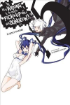 Is It Wrong to Try to Pick Up Girls in a Dungeon?, Vol. 15 (light novel)