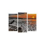 Kolmeosaline reproduktsioon Meri