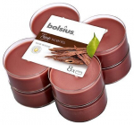 L&otilde;hnak&uuml;&uuml;nalde komplekt Bolsius True Scents Oud Wood, 8 tk