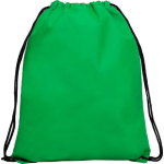 10 tk Universaalne paeltega kott, 36x42 cm