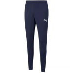 Meeste spordip&uuml;ksid Puma teamRISE Poly Training Pants M 657390 06, sinine