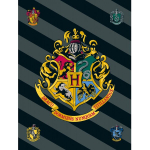 Laste fliistekk Harry Potter, 100 x 150 cm