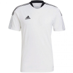 Meeste T-s&auml;rk Adidas Tiro 21 Training Jersey M GM7590, valge