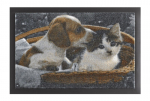 Uksematt Hanse Home Printy Dog and Cat, 40x60 cm