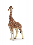 Figurine de girafe m&acirc;le - PAPO - LA VIE SAUVAGE - Int&eacute;rieur - Mixte - 3 ans