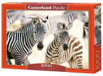 Pusle Castorland, 1000 tk, Young Zebras