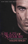 Blaze of Memory: Book 7
